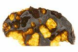 Polished Imilac Pallasite Meteorite ( g) Slice #334652-1